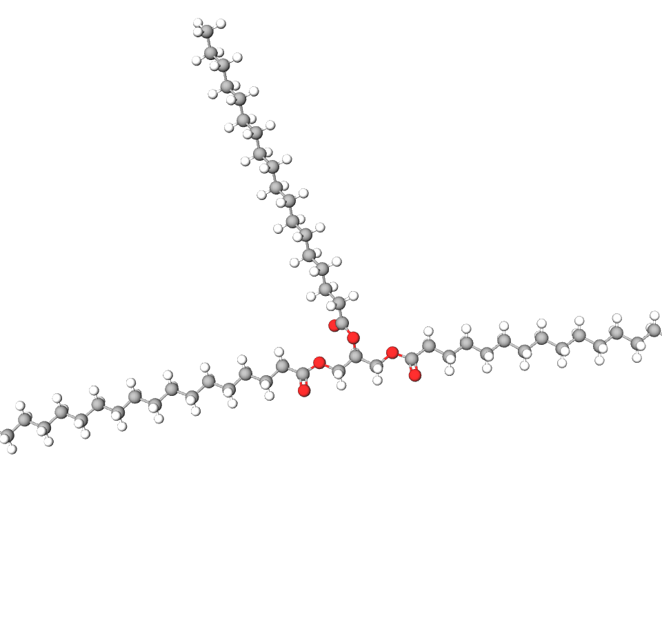 Molecular model of a stearic triglyceride molecule. wachs für kerzen natürliches wachs kerzenwachs sojawachs paraffin wachs paraffin kerzenwachs soy wax for pillar candles