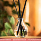 100 ml Diffusor Ava - Durchsichtig (6er-Pack)