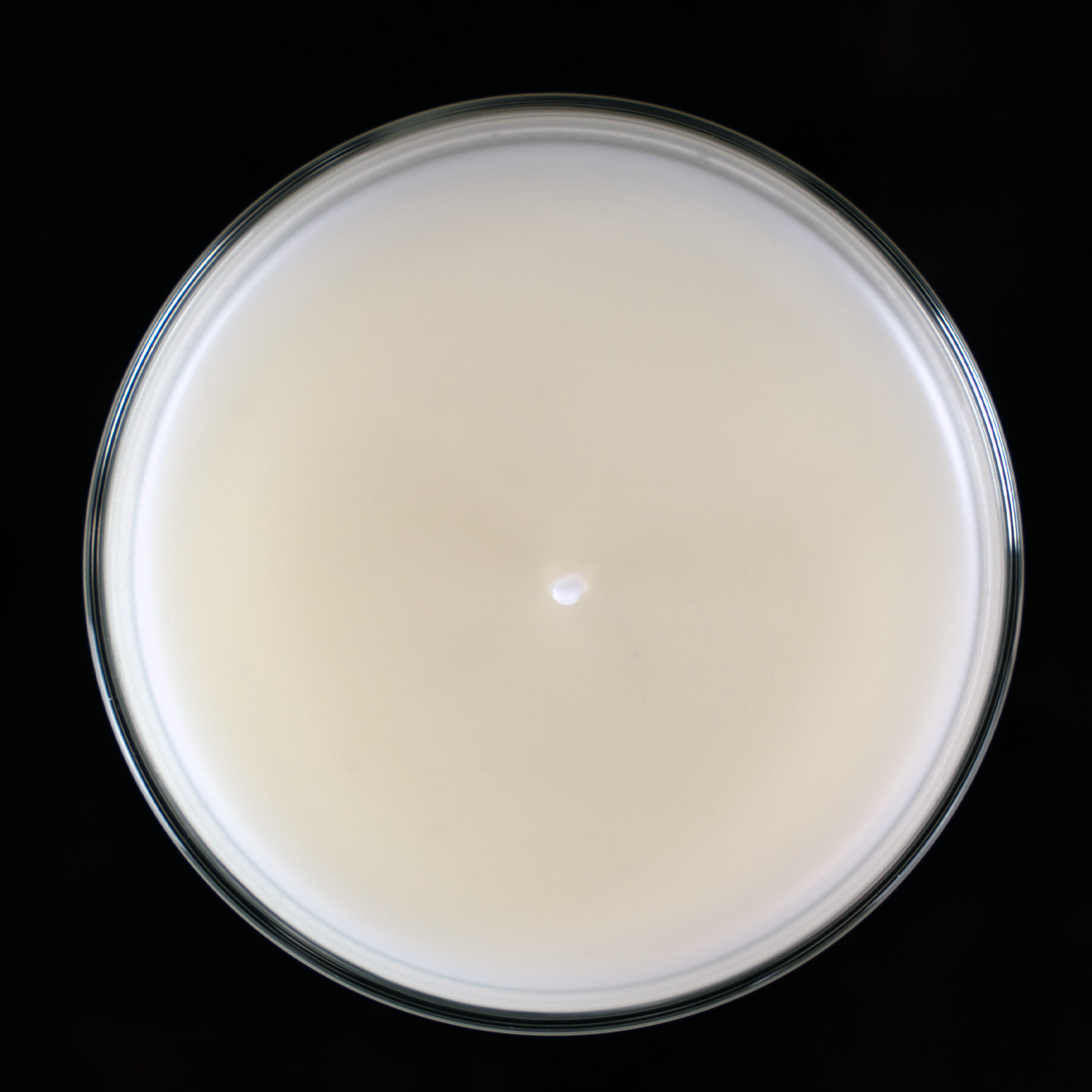 Top down view of a smooth paraffin wax surface candle wachs für kerzen natürliches wachs kerzenwachs sojawachs paraffin wachs paraffin kerzenwachs soy wax for pillar candles