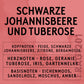 Soap2Go - Schwarze Johannisbeere & Tuberose